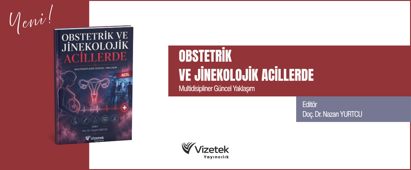 Vizetek - 2