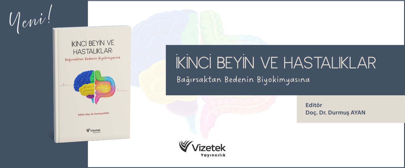 Vizetek - 7