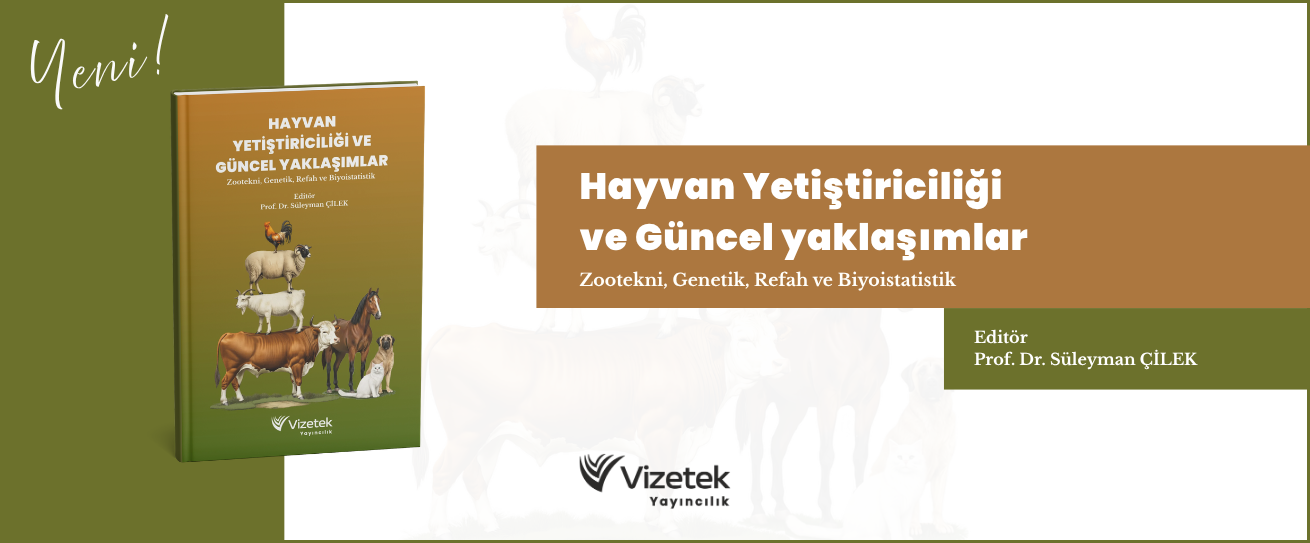 Vizetek - 1