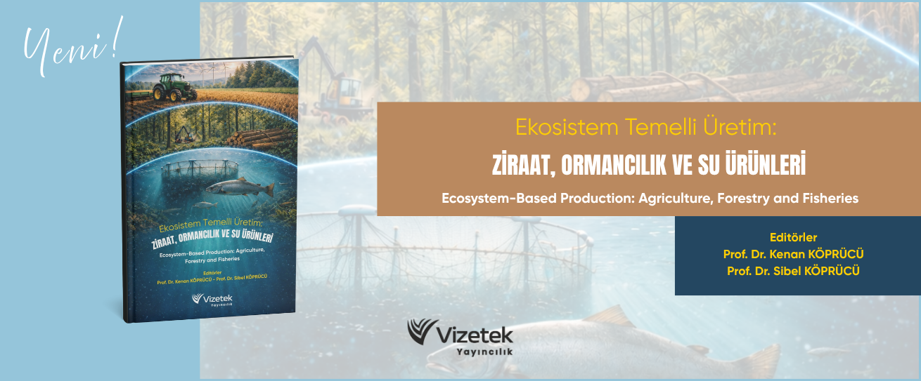 Vizetek - 1