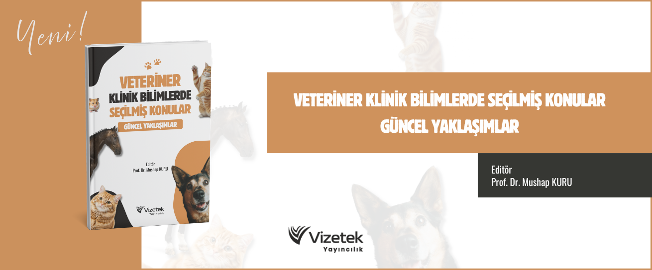 Vizetek - 2