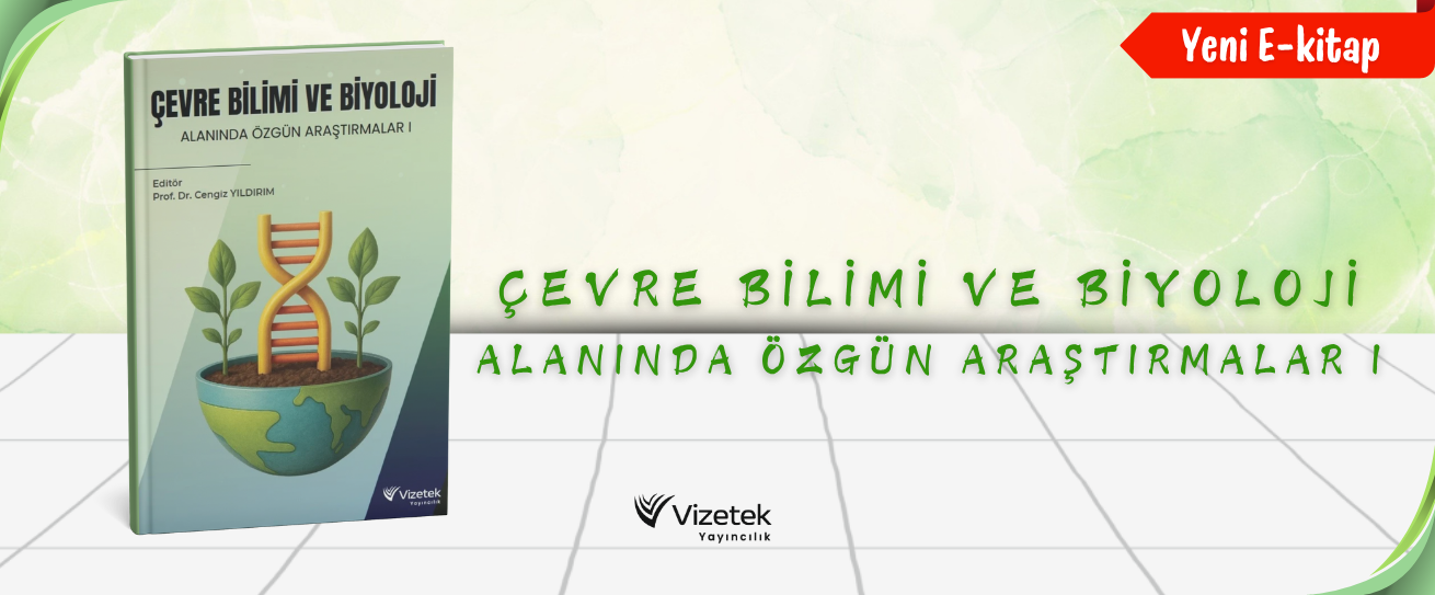 Vizetek - 1
