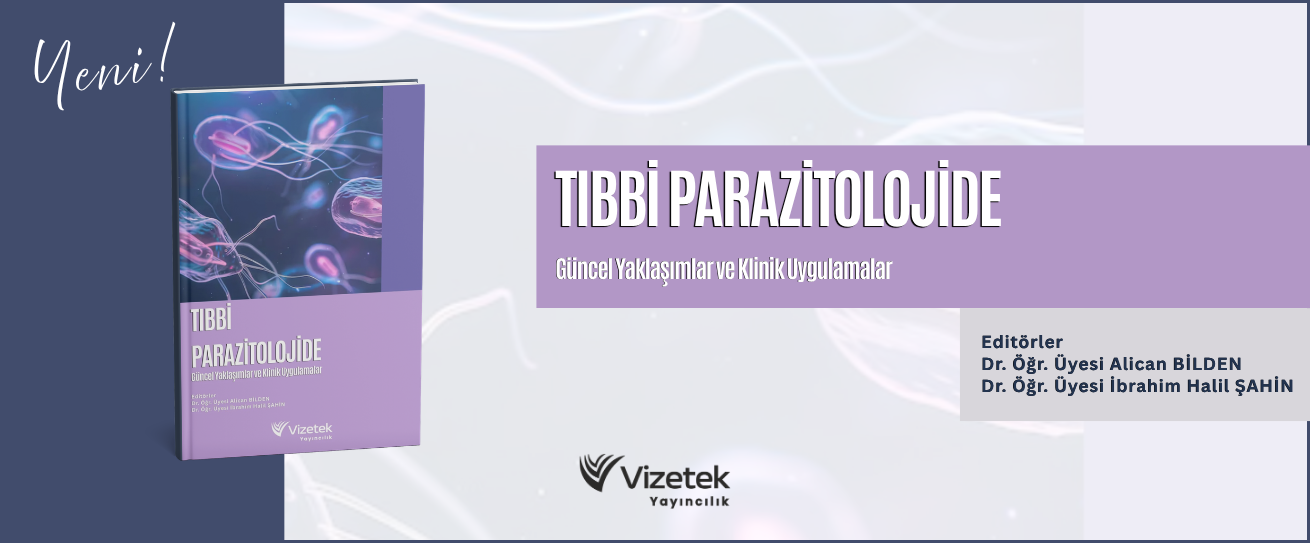 Vizetek - 2