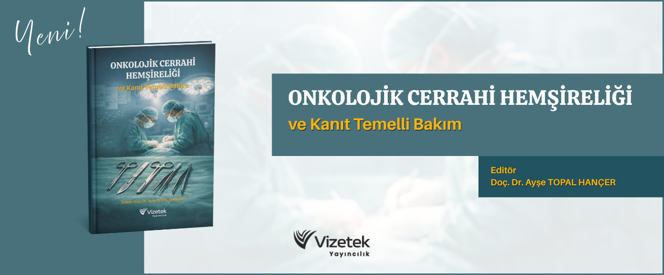 Vizetek - 4