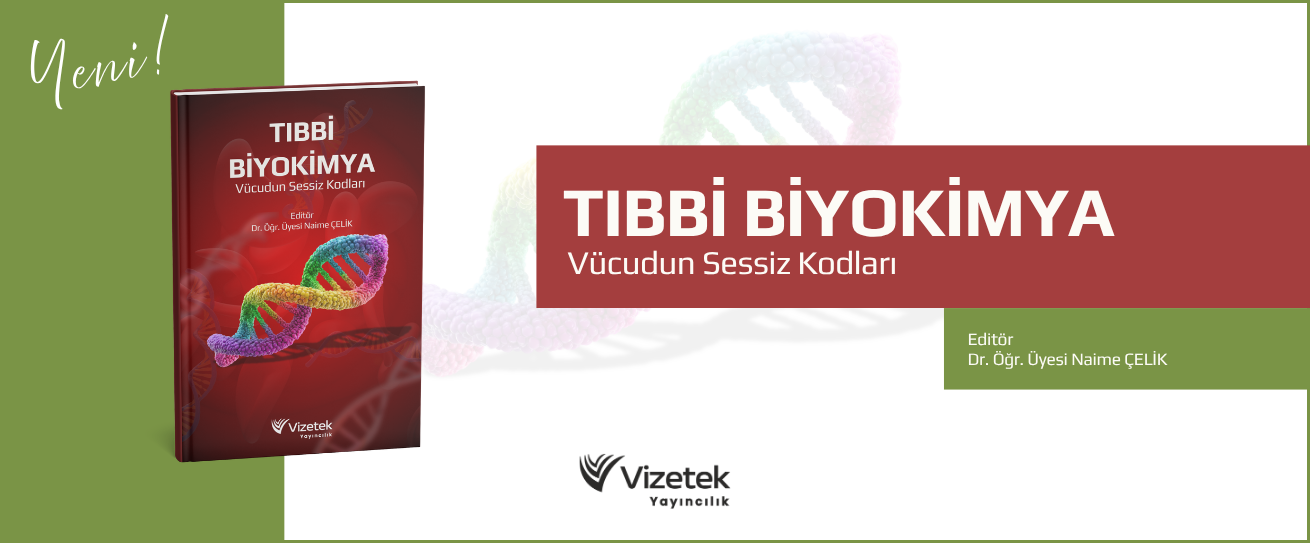 Vizetek - 1