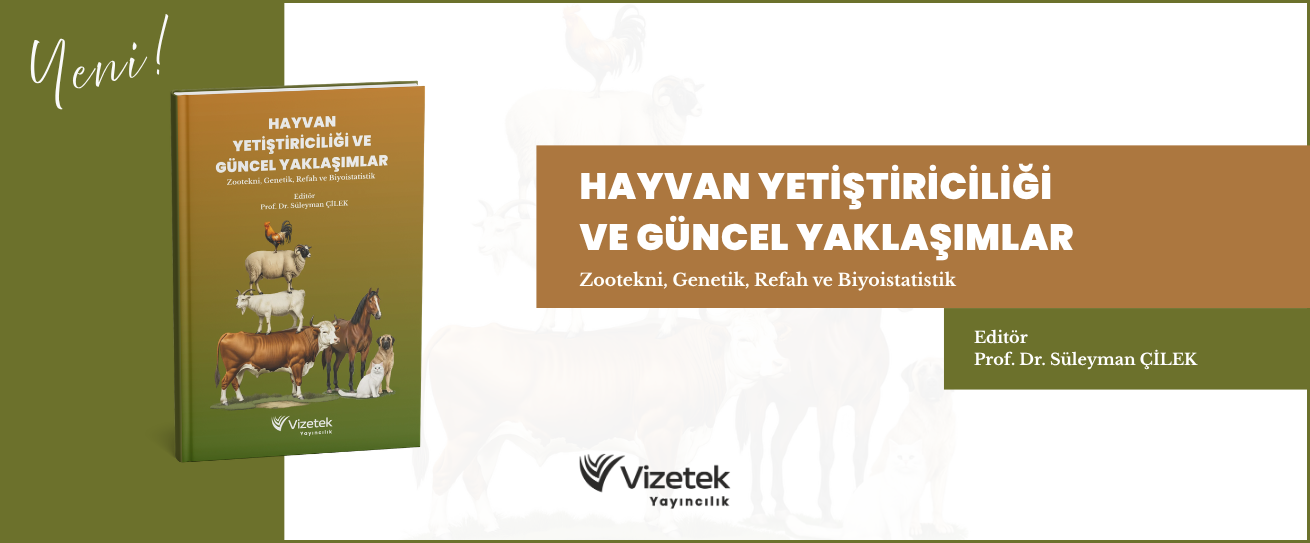 Vizetek - 6