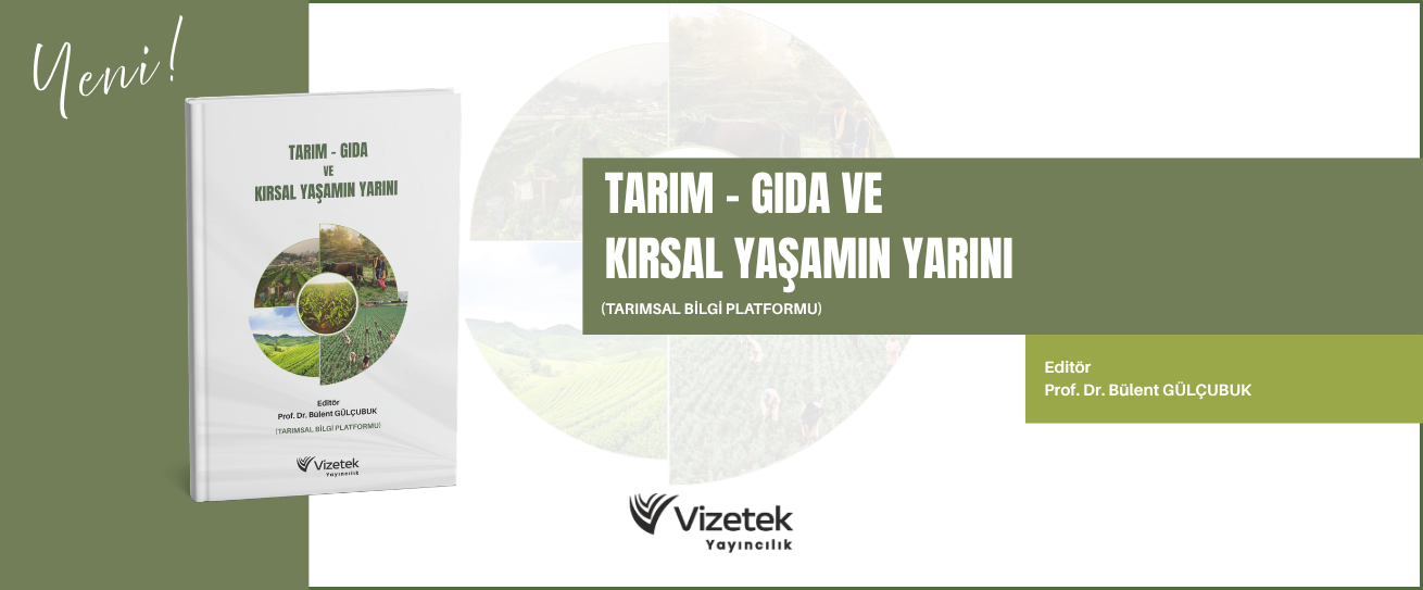 Vizetek - 2