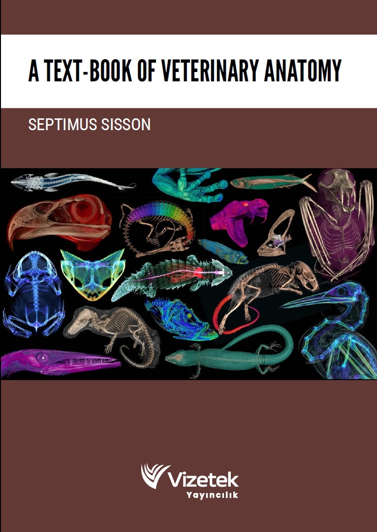 A Text-Book Of Veterınary Anatomy