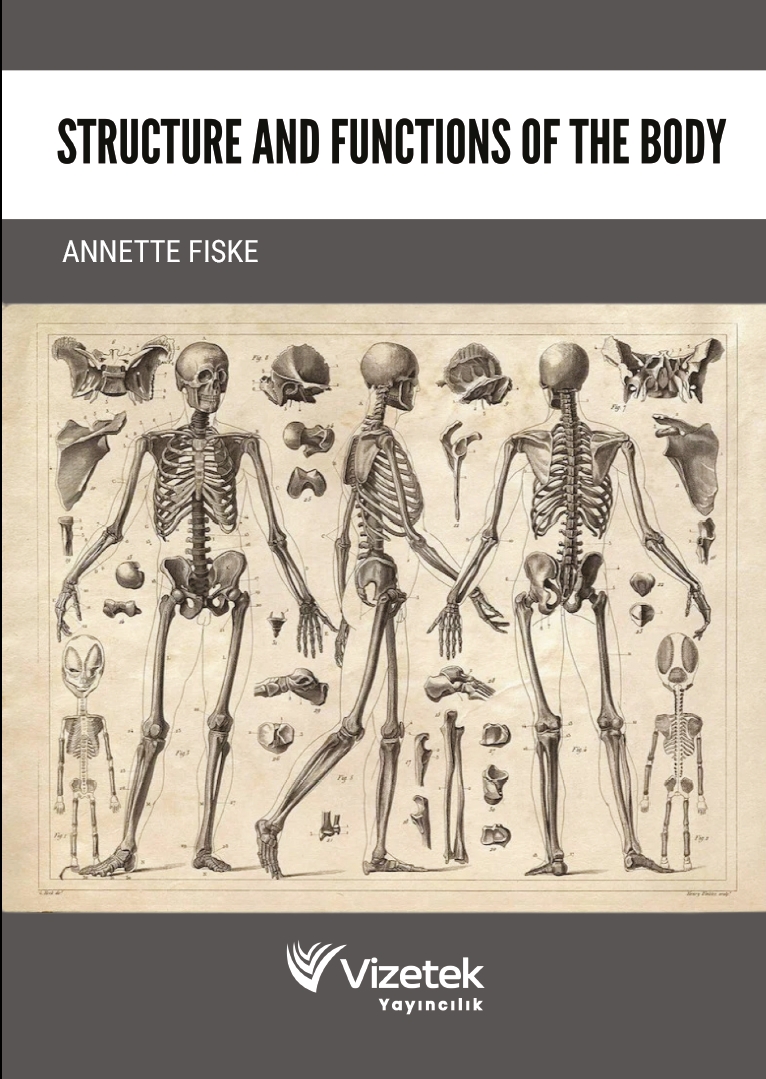 Structure and Functions of the Body Structure and Functions of the Body