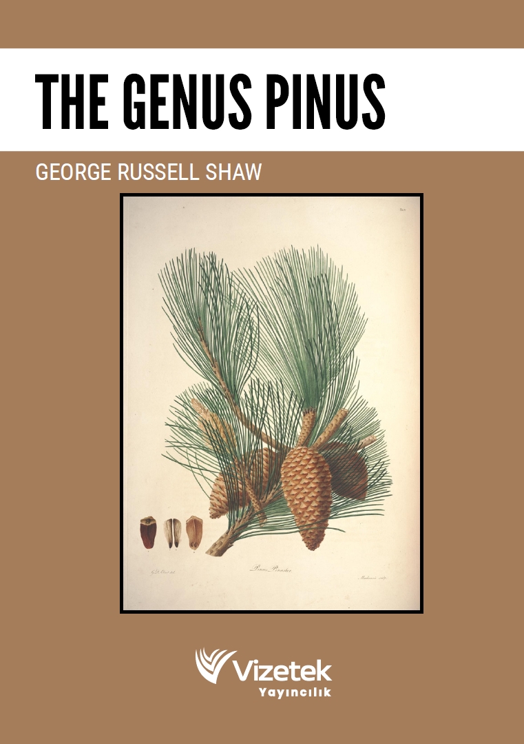 The Genus Pinus