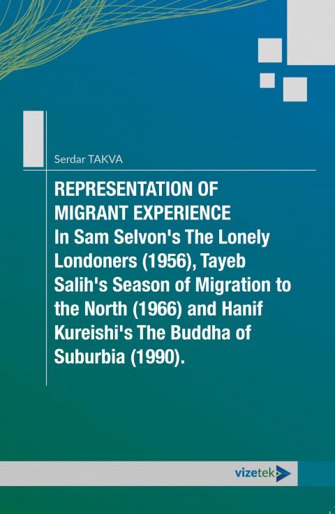 REPRESENTATION OF MIGRANT EXPERIENCE